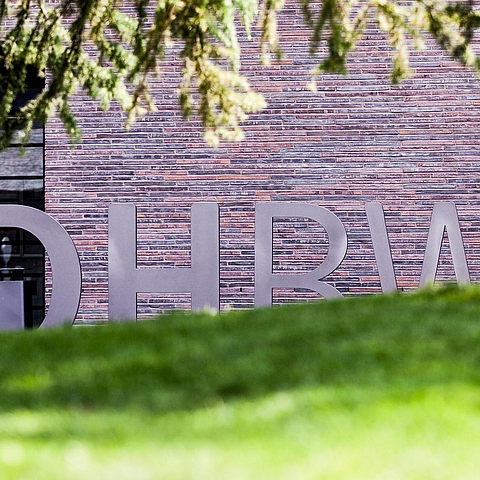 Auf dem Foto ist der DHBW Schriftzug auf dem Bildungscampus Heilbronn zu sehen. Er wird leicht verdeckt von einem Grashügel im Vordergrund.