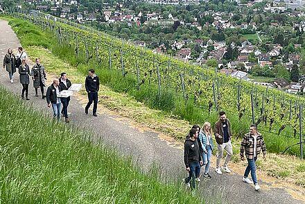 Alumni der DHBW Heilbronn wandern auf einem Weg durch die Weinberge