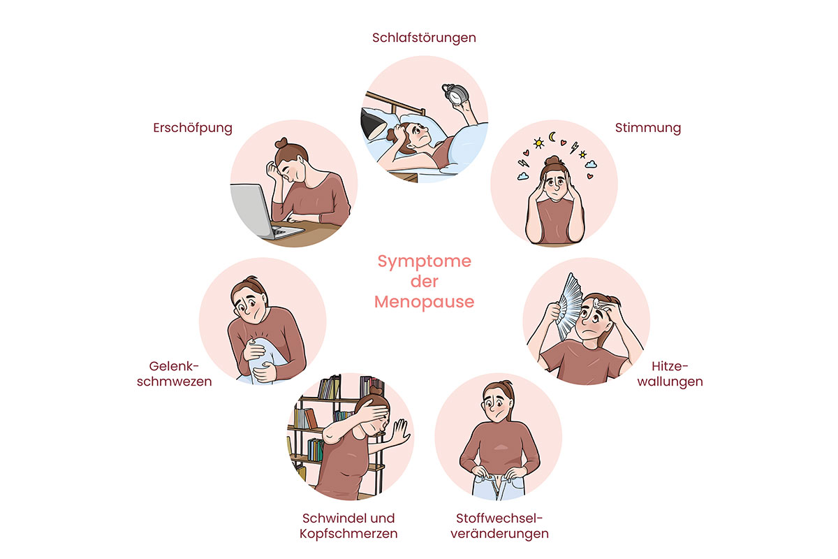 Symptome der Menopause als Icons dargestellt