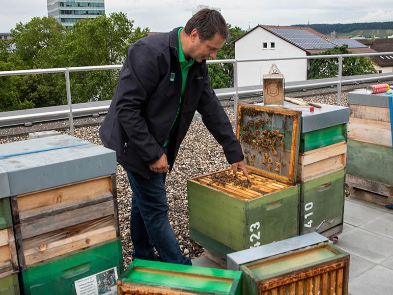  Auf dem Foto ist ein Mann zu sehen, der neben Bienenkästen steht.