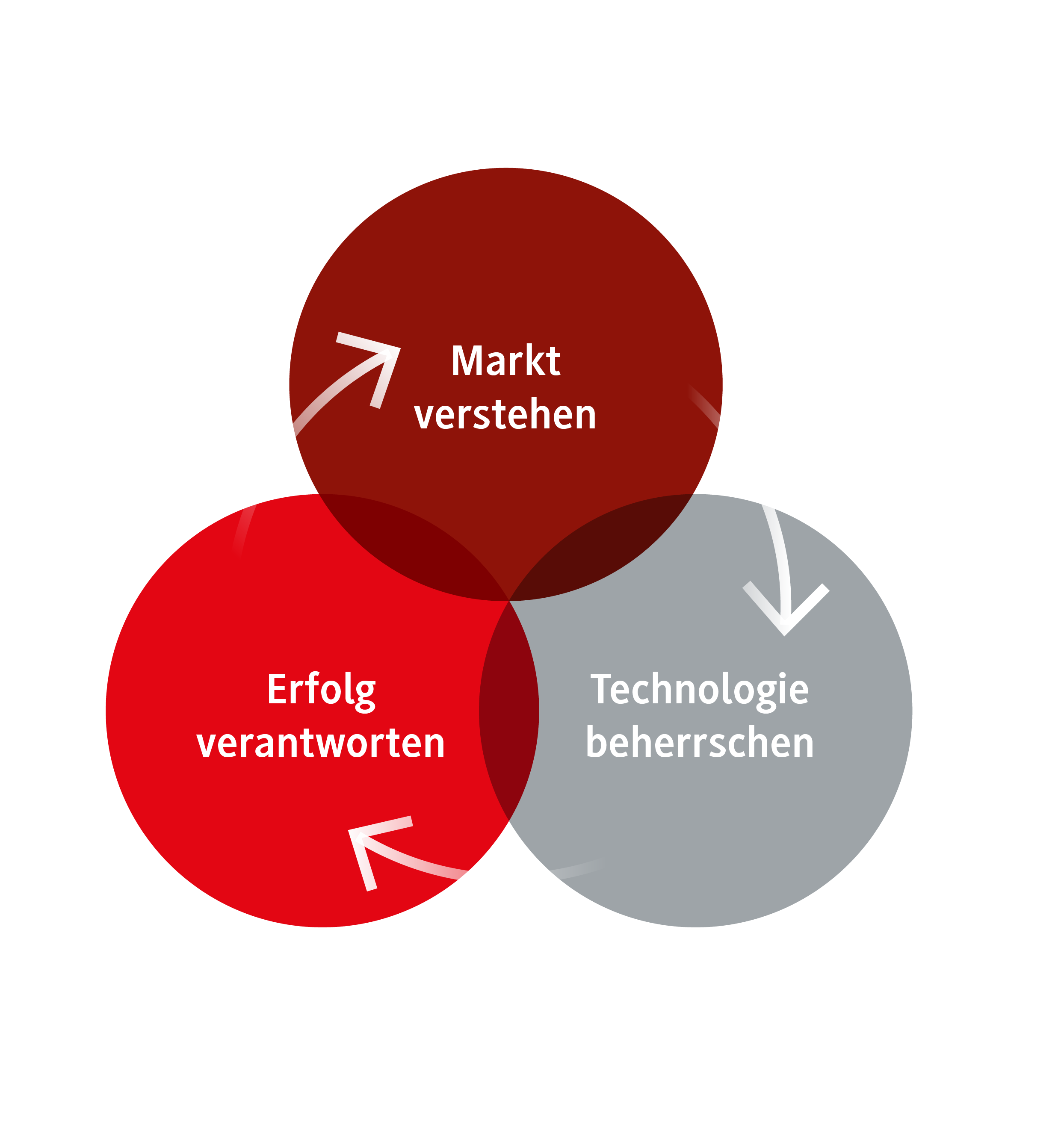 Digital Commerce Management verstehen Markt verstehen, Technologie beherrschen, Erfolg verantworten